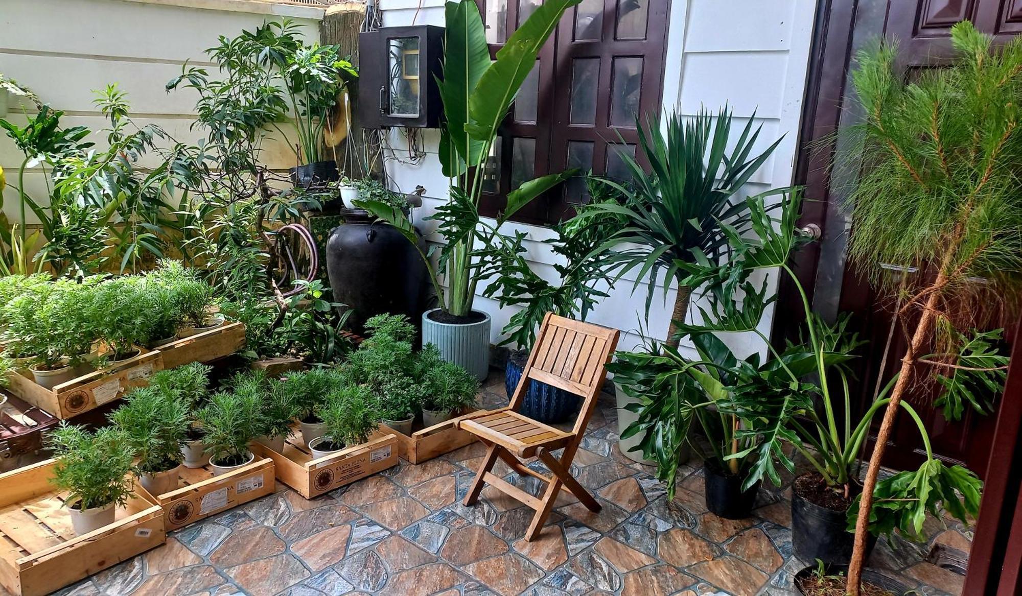 Wasabi House - Homestay Ben Cho Далат Екстер'єр фото